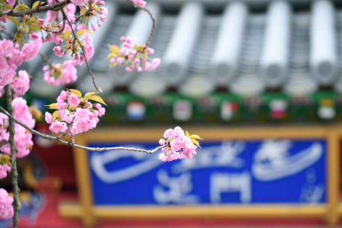 Day Trip to Nami Island With the Garden of Morning Calm