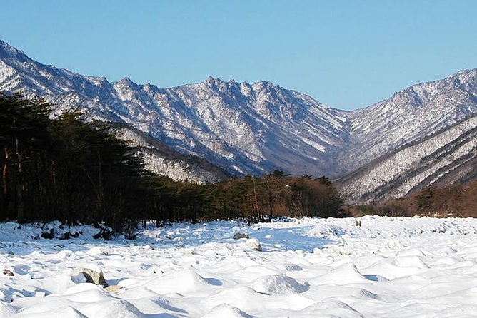 Mt. Seorak+Nami Island+Garden of Morning Calm Day Trip From Seoul