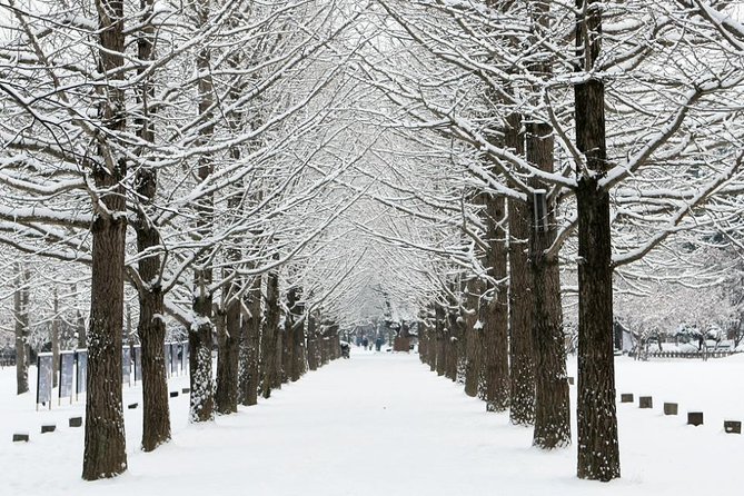 Private Nami Island, Elysian Ski and Garden of Morning Calm Tour