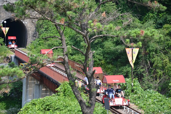 Day Trip to Nami Island With Rail Bike and the Garden of Morning Calm - Rail Bike Adventure Awaits