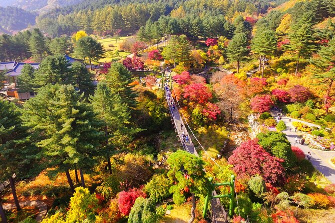 Day Trip to Nami Island With the Garden of Morning Calm - Discovering the Garden of Morning Calm