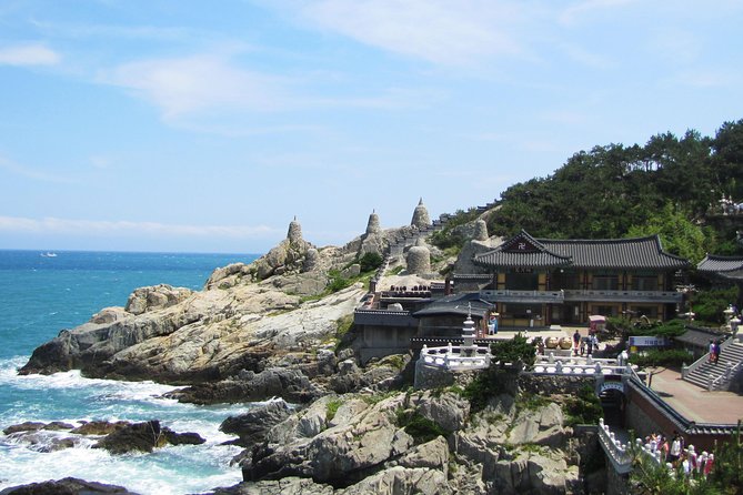 Full-Day Busan Tour Including Haedong Yonggungsa Temple - What to Expect From Reviews