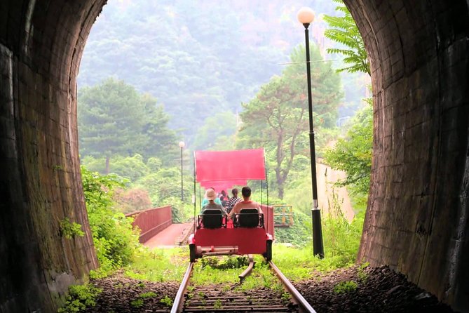 Nami Island & Garden of Morning Calm & Gangchon Railbike Tour - What to Expect on the Tour