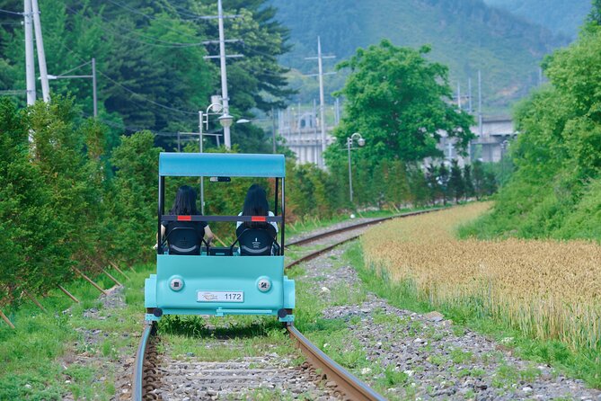 Nami Island Trip With Petite France & Italian Village and Gangchon Rail Bike - What to Expect and Prepare