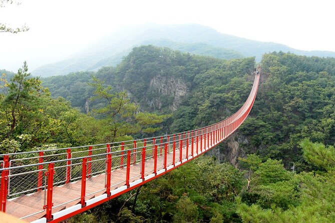 Private DMZ Peace Tour: 3rd Invasion Tunnel(Monorail) and Suspension Bridge - Exploring the DMZ and Third Tunnel