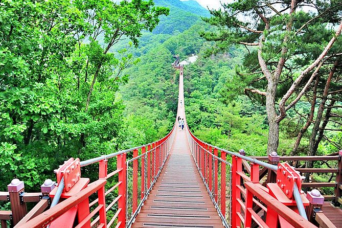 DMZ Full Day Tour With Suspension Bridge - Practical Tour Information