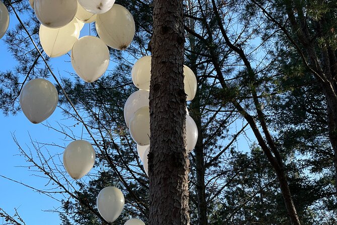 Four Seasons of Nami Island With Garden of Morning Calm Tour - Preparation and Packing Essentials