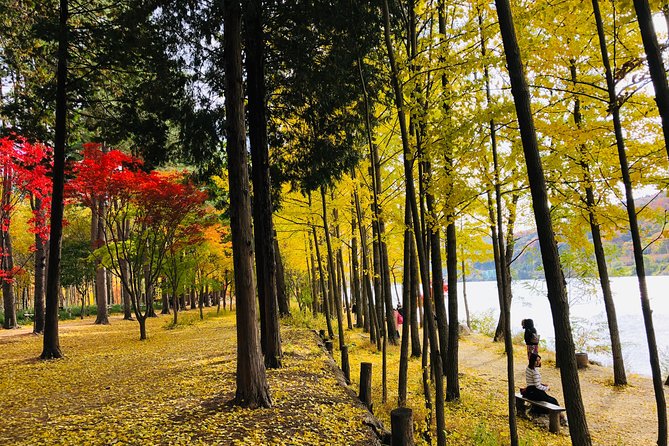 Mt. Seorak+Nami Island+Garden of Morning Calm Day Trip From Seoul - Cancellation and Refund Policy