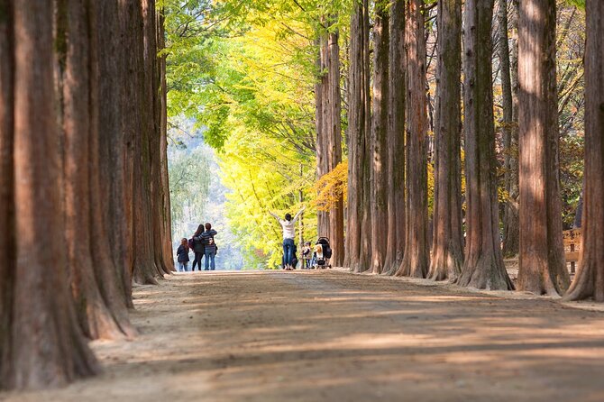 Nami Island and Petite France & Italian Village Day Trip From Seoul - Discover Nami Island and Petite France