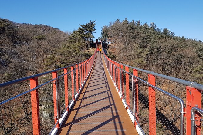 Premium Private DMZ Tour & (Suspension Bridge or N-Tower) Include Lunch - Reviews and Testimonials