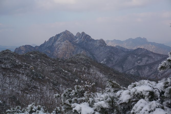 Private Hiking Tour to Bukhansan Peak(Baegundae: 836.5m) With Mountain Expert - What to Expect on the Tour