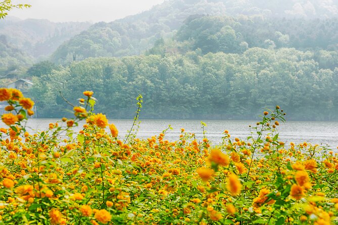 Trip to Nami Island With Petite France & Italian Village, Garden of Morning Calm - Exploring Garden of Morning Calm