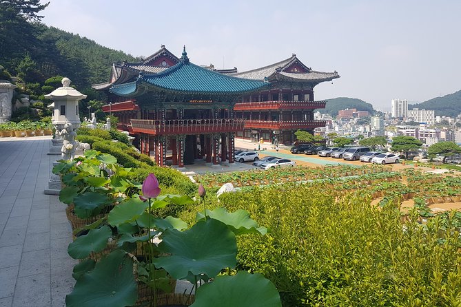 Busan Tour With Gamcheon Culture Village - Reviews and Ratings From Travelers