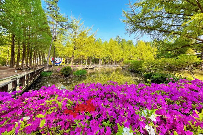 Day Trip to Nami Island With the Garden of Morning Calm - Cancellation and Refund Policy