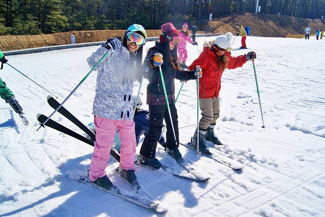 Snow or Ski Day Trip to Elysian Ski Resort From Seoul - No Shopping - What to Expect on Tour