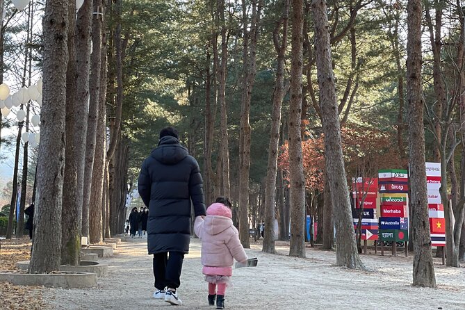 Four Seasons of Nami Island With Garden of Morning Calm Tour - Exploring Petit France