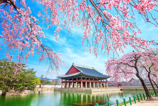 Full-day Customizable Private Seoul Highlight Tour - Pricing and Booking Information