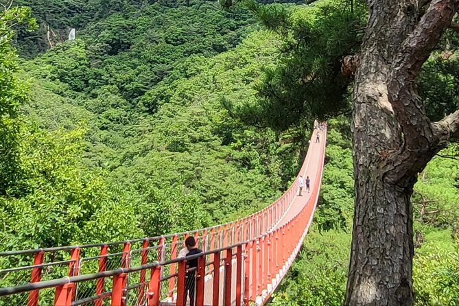 Full Day DMZ With Red Suspension Bridge Tour From Seoul - Tour Operator and Cancellation Policy