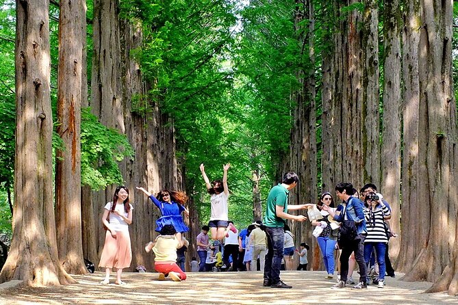 Nami Island, Cable Car, Garden of Morning Calm Panoramic Tour - Reviews and Testimonials