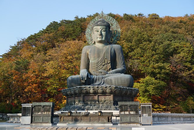 [Premium Private Tour] Mt Seorak & East Sea or Nami Island From Seoul - Customer Reviews and Ratings