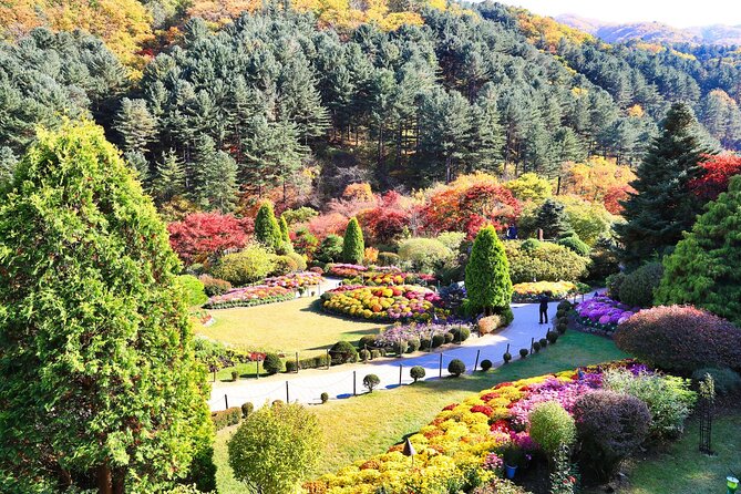 Seoul Vicinity 5 in 1: Nami Island, Garden of Morning Calm & More - Pricing and Cancellation Policy