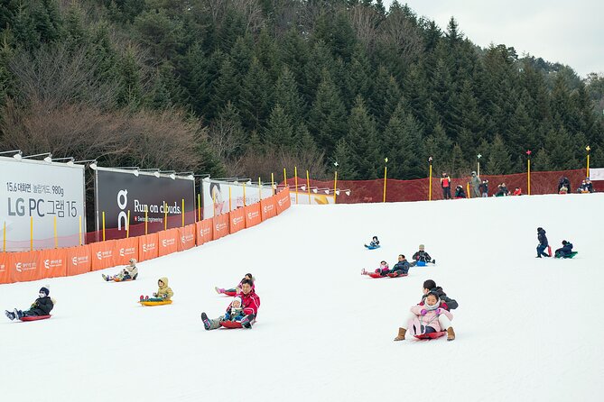 Snow or Ski Day Trip to Elysian Ski Resort From Seoul - No Shopping - Skiing and Snow Activities