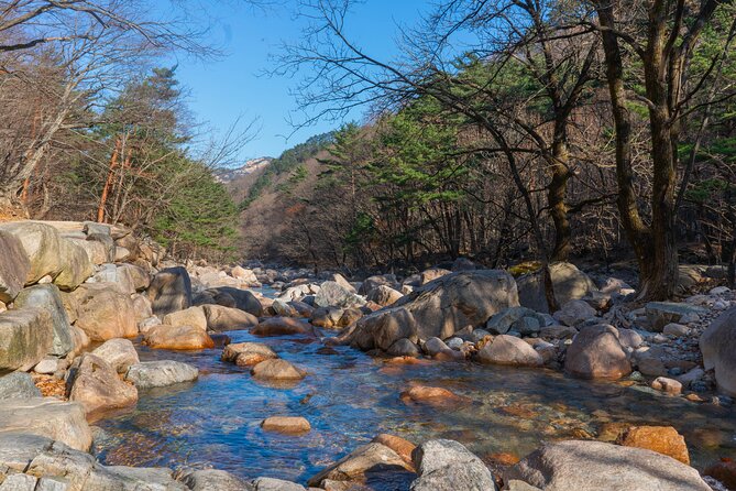 Day Trip to Mount Seorak and Naksansa Temple From Seoul - Reviews and Testimonials From Travelers