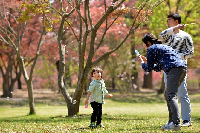 Day Trip to Nami Island With Rail Bike and the Garden of Morning Calm - Pricing and Booking Details