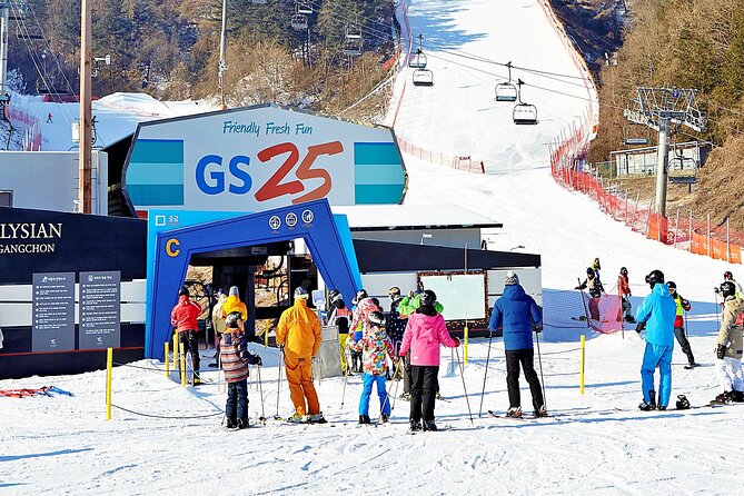 Snow or Ski Day Trip to Elysian Ski Resort From Seoul - No Shopping - Reviews and Ratings Overview