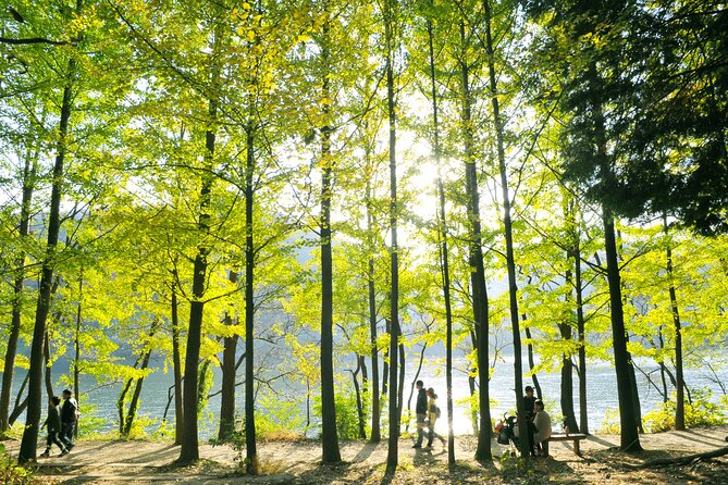 Day Trip to Nami Island With Rail Bike and the Garden of Morning Calm - Important Tour Information