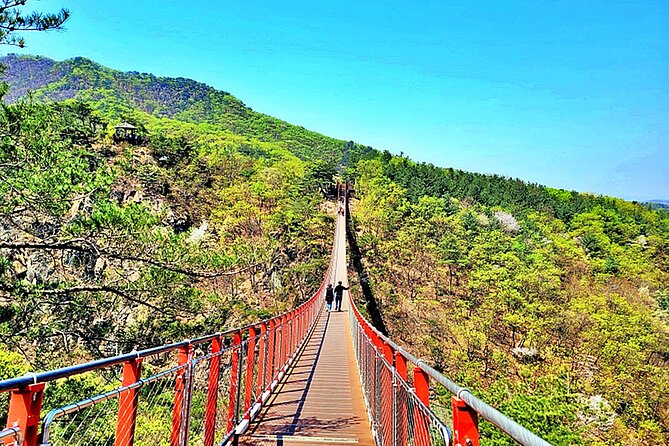 DMZ Full Day Tour With Suspension Bridge - Tour Schedule and Timing