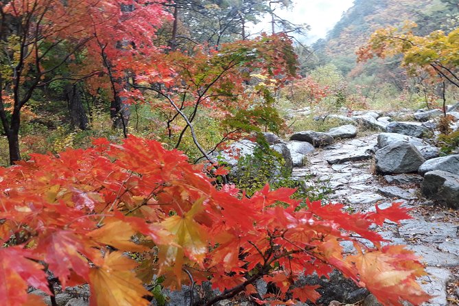 Mt. Seorak+Nami Island+Garden of Morning Calm Day Trip From Seoul - Serenity at Garden of Morning Calm