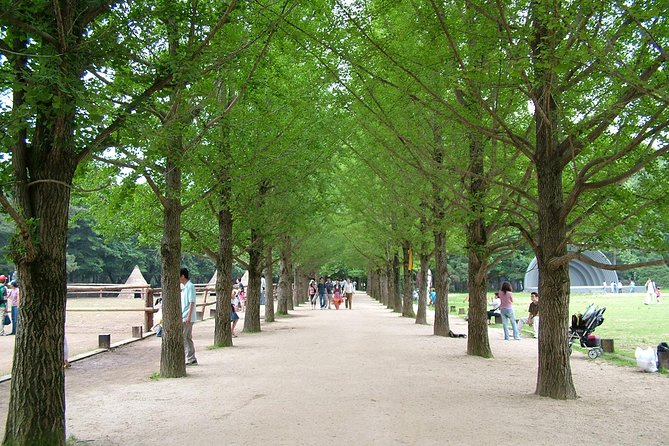 Nami Island & Garden of Morning Calm & Gangchon Railbike Tour - Booking and Confirmation Process