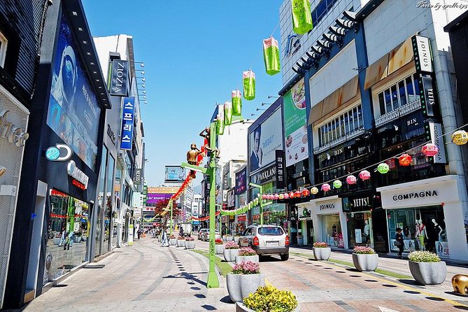 Private Busan Tour With Gamcheon Culture Village and the Temple (Customizable) - Tour Details and Policies