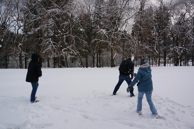 Private Tour Nami Island With Petite France And/Or the Garden of Morning Calm - Cancellation and Refund Policy