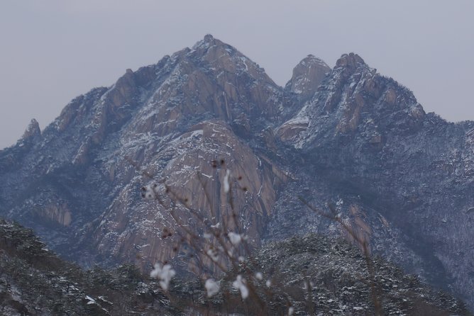 Private Hiking Tour to Bukhansan Peak(Baegundae: 836.5m) With Mountain Expert - Booking and Logistics Overview