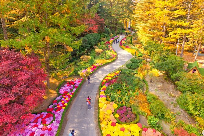 Day Trip to Nami Island With the Garden of Morning Calm - Just The Basics