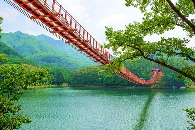 Private DMZ Peace Tour: 3rd Invasion Tunnel(Monorail) and Suspension Bridge - Just The Basics