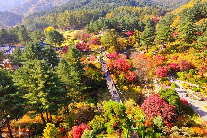 Seoul Vicinity 5 in 1: Nami Island, Garden of Morning Calm & More - Just The Basics