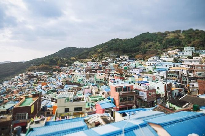 Cruise Layover : Small Group Busan Essential Tour