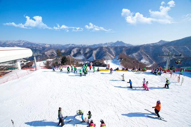 Elysian Gangchon Ski Resort With Nami Island Day Tour From Seoul - Tour Overview and Inclusions