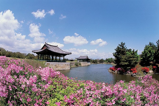 Gyeongju Private Tour With Hidden Gem by Local Tour Guide