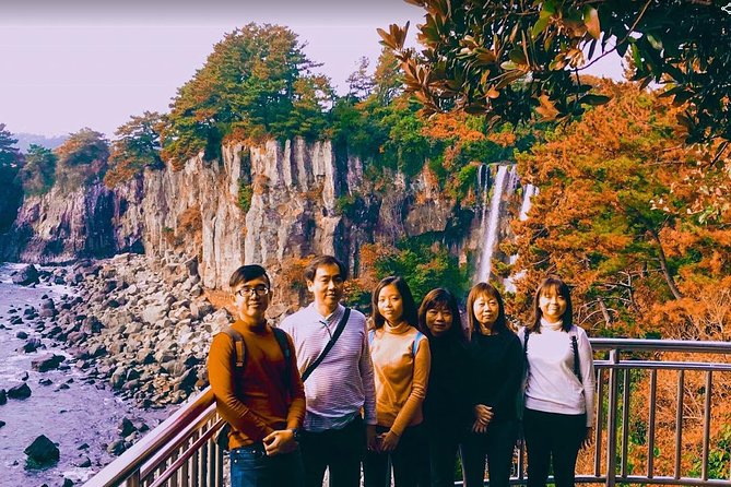 Jeju Island Taxi Tour : South Day Tour - Tour Overview and Highlights