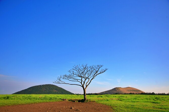 Jeju Island UNESCO Heritage Bus Tour