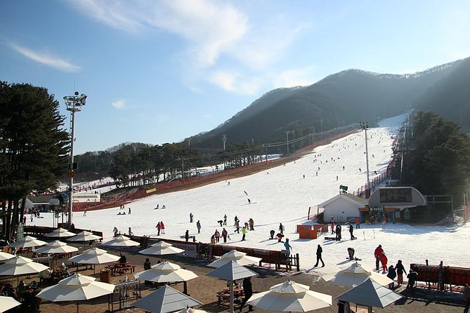 Jisan Ski Resort Serving Breakfast From Seoul (No Shopping) - Package Details Uncovered