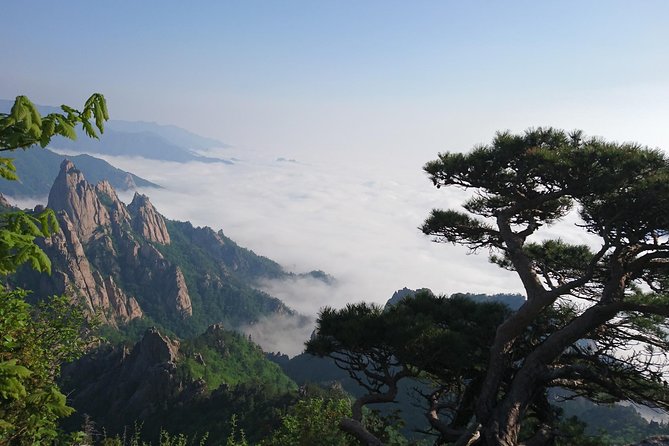 One-Day Tour for Stunning Mt.Seoraksan From Seoul