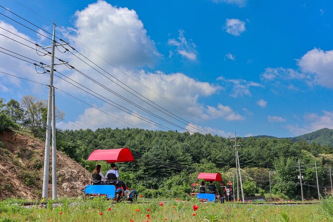 (Private Tour) Nami Island + Railbike + Garden of Morning Calm - Experience the Ultimate Private Tour