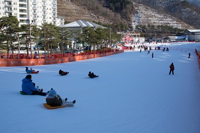 [Private Tour] Nami Island & Snow Viewing and Snow Sled (More Members Less Cost)