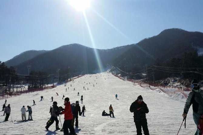 Ski Tour to Jisan Ski Resort From Seoul