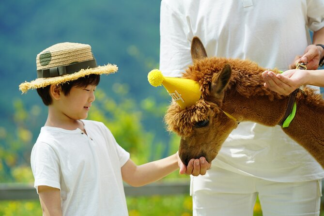 Alpaca World & Suspension Bridge Day Tour With Luge Ride - Meeting and Pickup Details